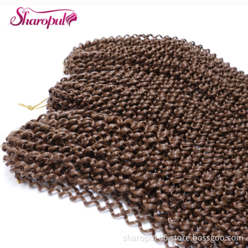 Micro Curly Braids Synthetic Hair Extension 22 Inch 100gram Kinky curly zizi Jumbo hair Extension
